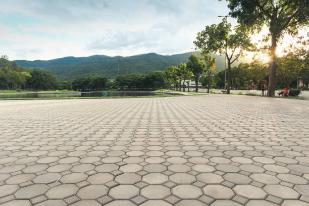 Best Local Driveway Pavers  in Princeton Meadows, NJ